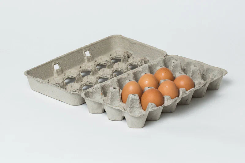 15-Egg Cartons